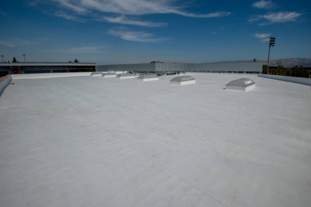 Best Cold Roofs  in Long Beach, MD